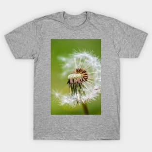 Dandelion Dispersal. Photograph T-Shirt